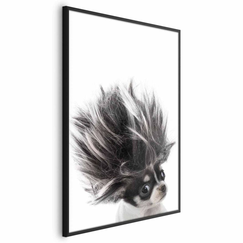 Artgeist Chihuahua plakat 21 x 30 cm med sort ramme, 1 stk
