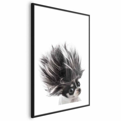 Artgeist Chihuahua plakat 21 x 30 cm med sort ramme, 1 stk
