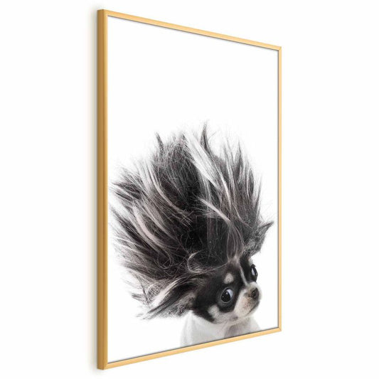 Artgeist Chihuahua plakat 29,7x42 cm med gyldent ramme, 1 stk