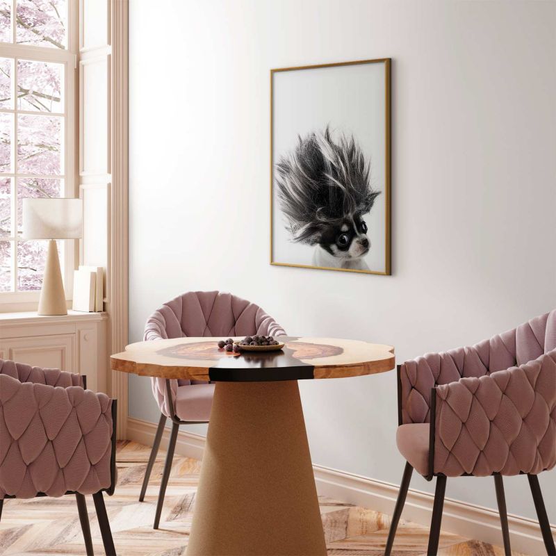 Artgeist Chihuahua plakat 29,7x42 cm med gyldent ramme, 1 stk