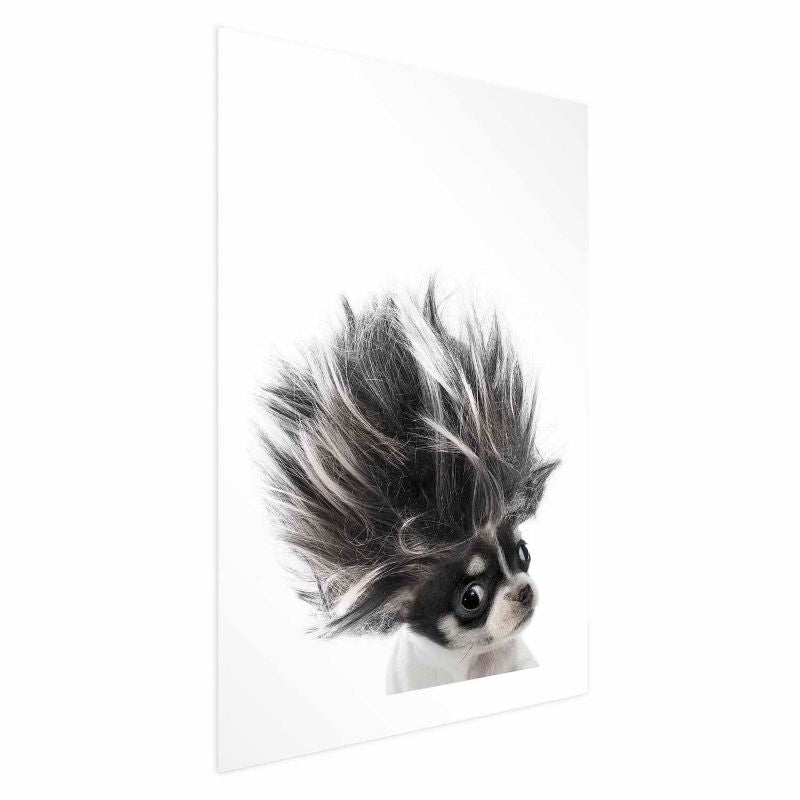 Artgeist Chihuahua plakat 40x60 cm uden ramme, 1 stk