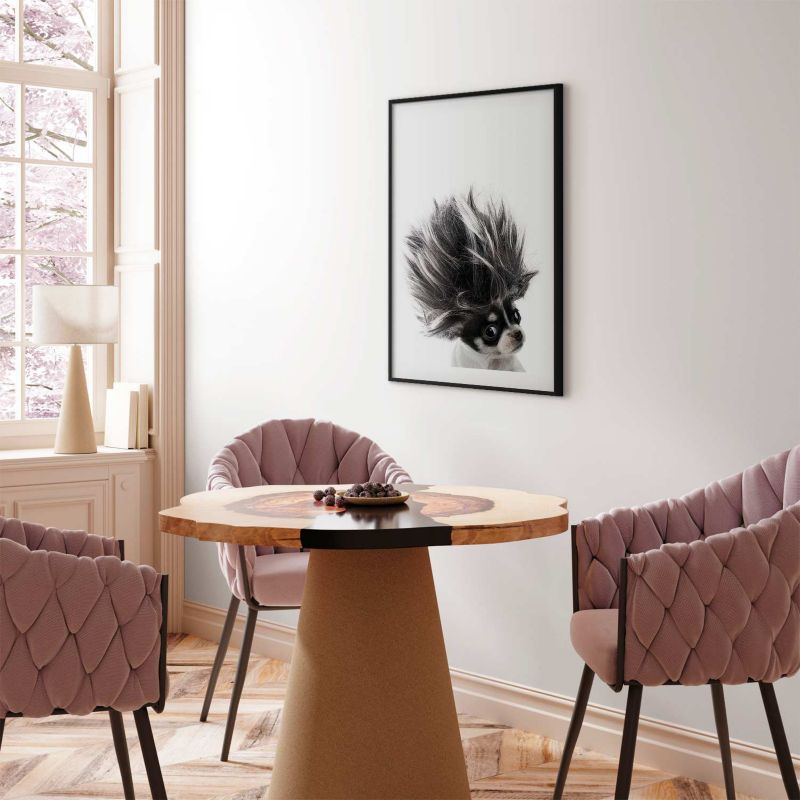 Artgeist Chihuahua plakat 60x90 cm med sort ramme, 1 stk