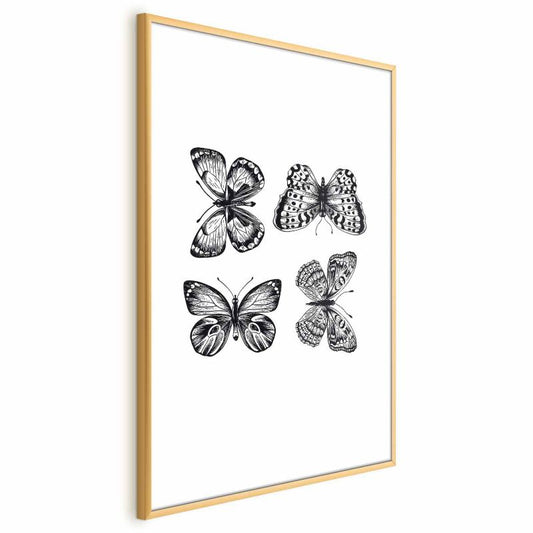 Artgeist plakat fire sommerfugle 60 x 90 cm med guldramme, 1 stk