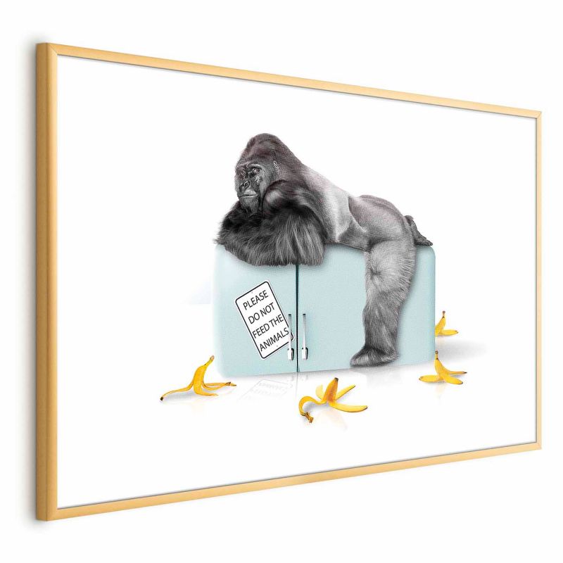 Plakat Artgeist Sulten gorilla 42 x 29,7 cm med guldramme, 1 stk