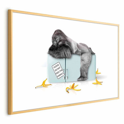 Plakat Artgeist Sulten gorilla 42 x 29,7 cm med guldramme, 1 stk