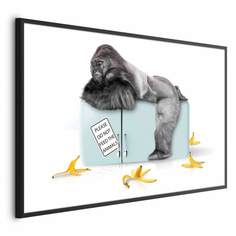 Artgeist plakat Sulten gorilla 60 x 40 cm med sort ramme, 1 stk