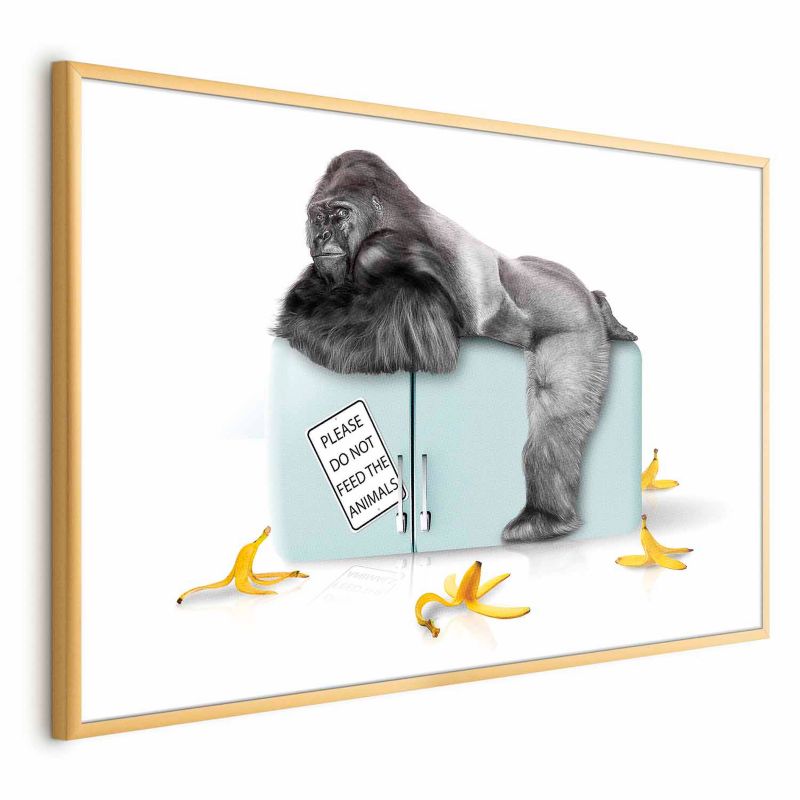 Artgeist plakat Sulten gorilla 90 x 60 cm med guldramme, 1 stk