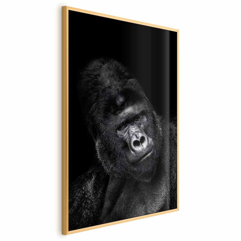 Artgeist plakat gorilla 60 x 90 cm med guldramme, 1 stk