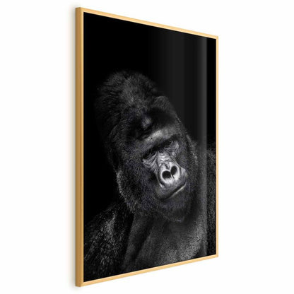 Artgeist plakat gorilla 60 x 90 cm med guldramme, 1 stk