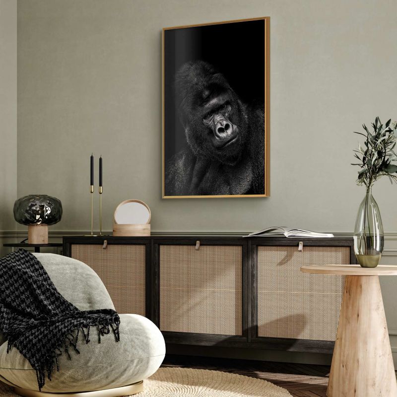 Artgeist plakat gorilla 60 x 90 cm med guldramme, 1 stk