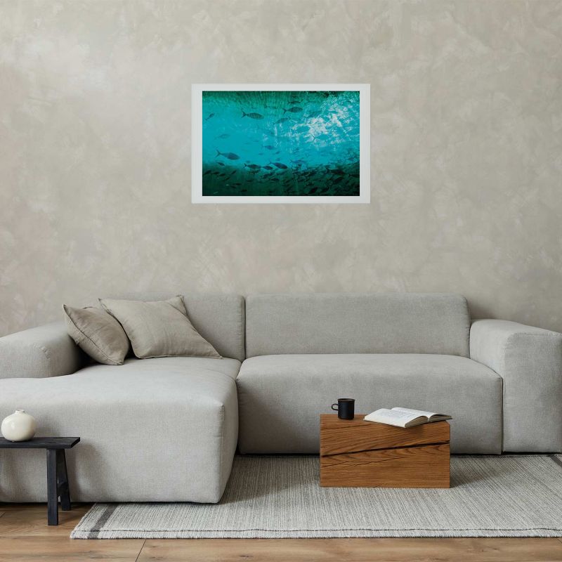 Artgeist plakat Gromada fisk 30 x 21 cm uden ramme, 1 stk