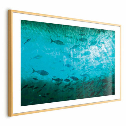Artgeist plakat Gromada fisk 30x21 cm med guldramme, 1 stk