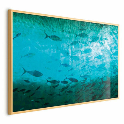 Artgeist plakat Gromada fisk 30 x 21 cm med guldramme, 1 stk