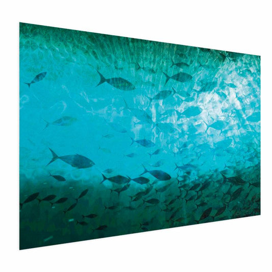 Artgeist plakat Gromada fisk 90 x 60 cm uden ramme, 1 stk