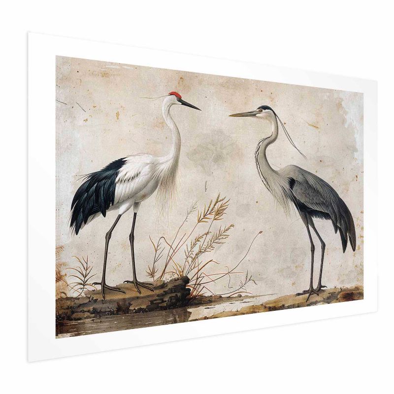 Artgeist plakat Fugle fra kobberstik 60 x 40 cm uden ramme, 1 stk