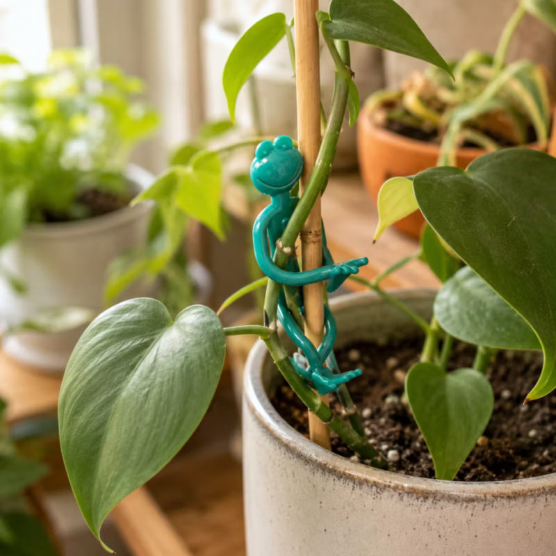 Planteclips Frøer 14 cm Grøn 4 Stk.
