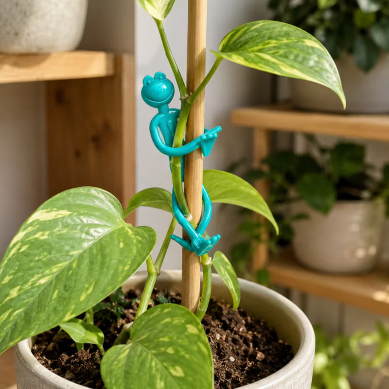 Planteclips Frøer 14 cm Grøn 4 Stk.