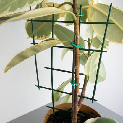 Planteclips Ø3 cm Grøn 100 Stk.