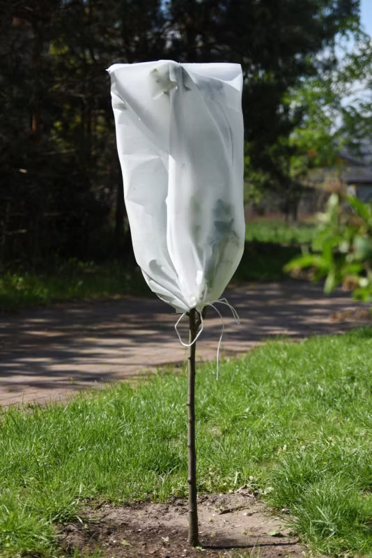 Plantehætte 1,6 m² Hvid