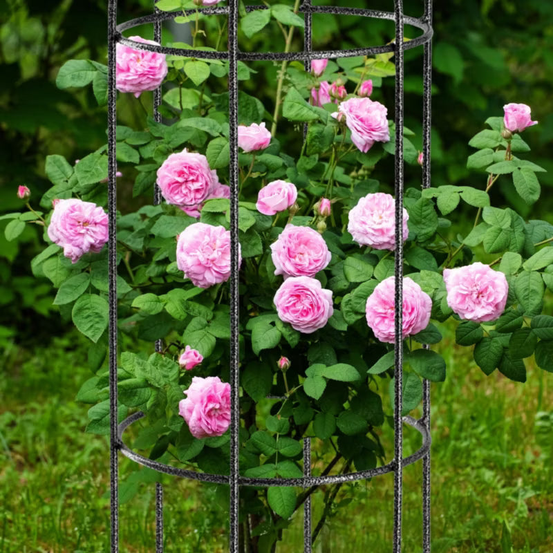Planteobelisk 23x80 cm Sort Stål
