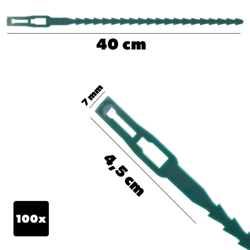 Planteopbindingsbånd 40 cm Grøn 100 Stk.