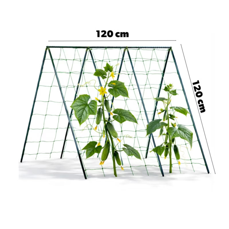 Plantepinde Sæt til Klatreplanter 120 cm x 11 mm 9 Stk.