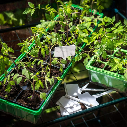 Planteskilte T-Form 5,7x13,5 cm Hvid 10 Stk.