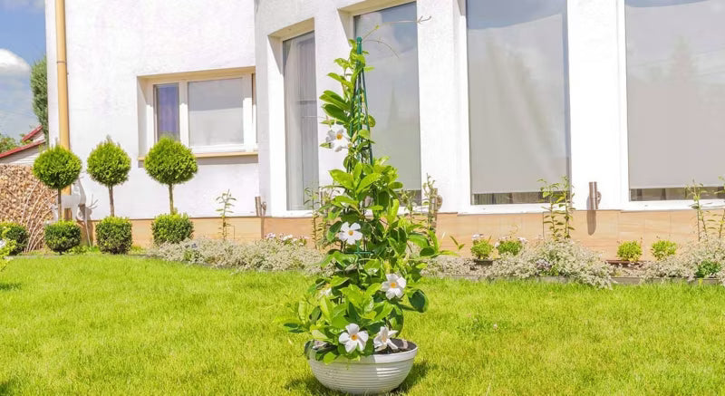 Plantesøjle Konisk 31x151 cm Grøn Stål