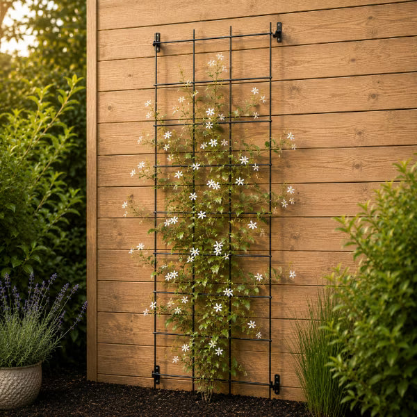 Plantespalier 45x150 cm Stål