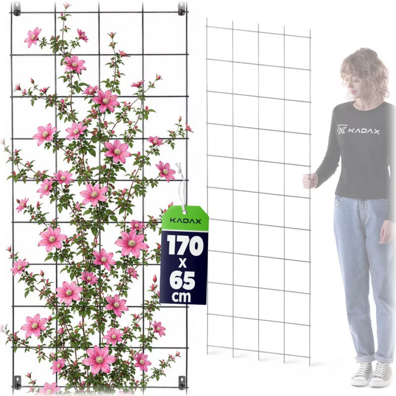 Plantespalier 65x170 cm Stål