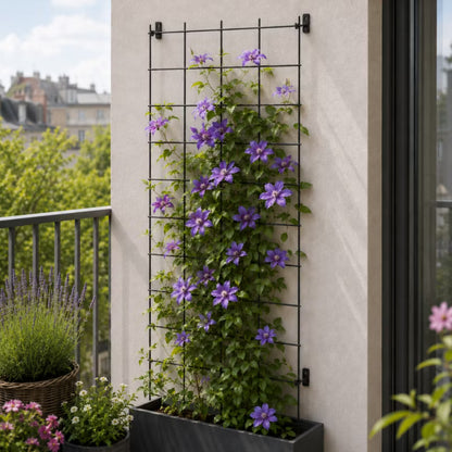 Plantespalier 65x170 cm Stål