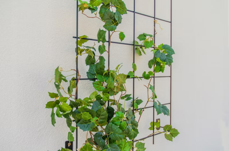Plantespalier 65x170 cm Stål