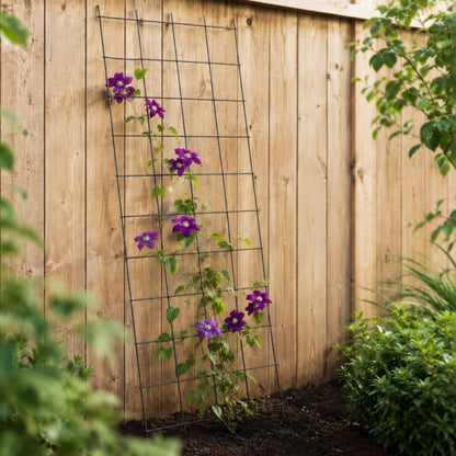 Plantespalier 65x170 cm Stål