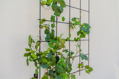 Plantespalier 65x170 cm Stål