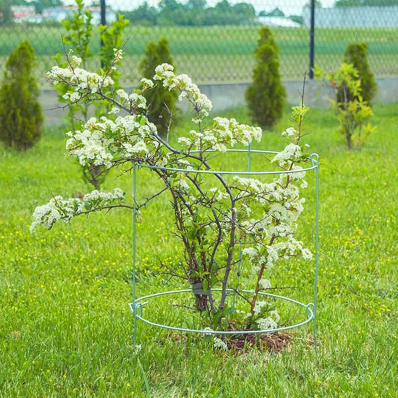 Plantestativ Ring 91x36,5 cm Stål