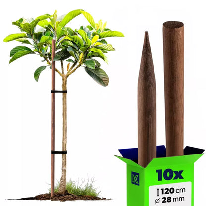 Plantestøtte Træ Imprægneret 10 Stk