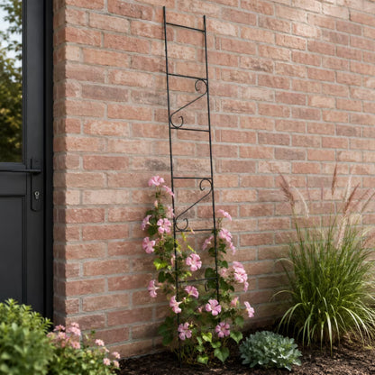 Plantestøtte Blomsterstige 210 cm Stål