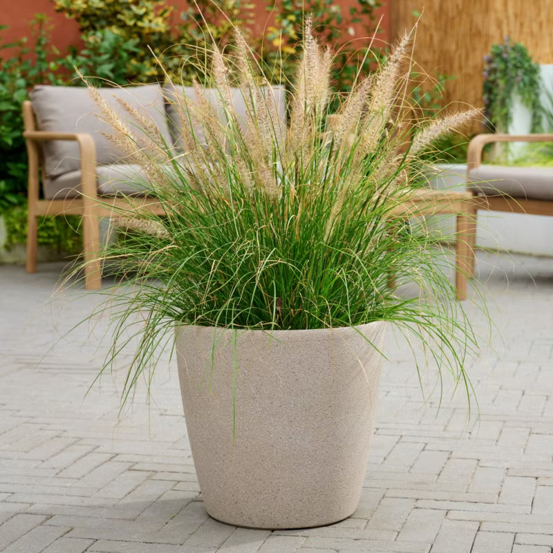 Plastikurtepotte 35 cm Beige Steneffekt