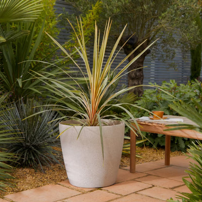 Plastikurtepotte 43 cm Beige Steneffekt