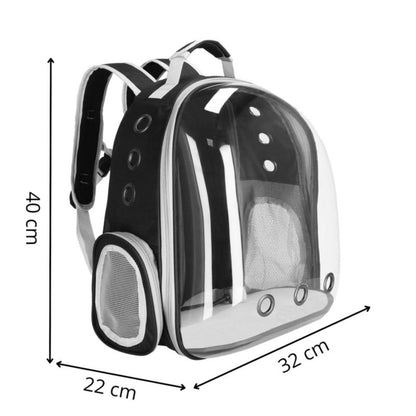 Springos rygsæktransportør til kat, kanin og hund 40 x 32 x 22 cm transporttaske til op til 12 kg grå