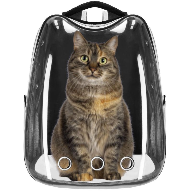 Springos rygsæktransportør til kat, kanin og hund 40 x 34 x 21 cm, taske til op til 12 kg, grå og transparent, 1 stk.