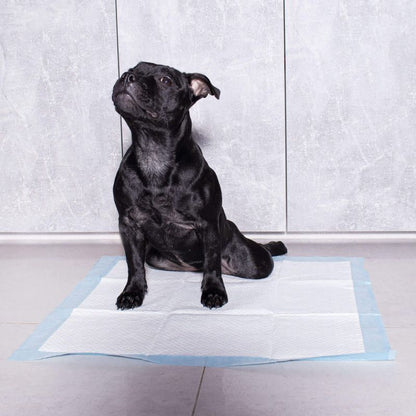 Springos hygiejneunderlag til hunde 50 stk. 60x60 cm absorberende måtter til træning i renlighed 1 sæt