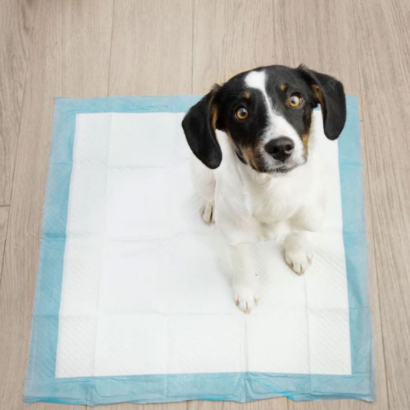 Springos hygiejneunderlag 100 stk. 60 x 90 cm ekstra absorberende måtter til renlighedstræning 1 sæt