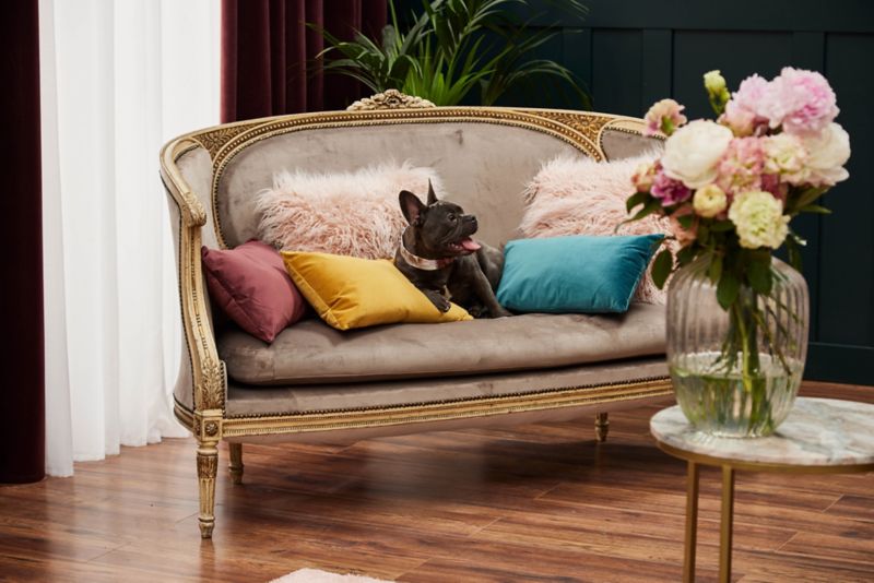 GoodHome Valgreta pude 30 x 50 cm turkis