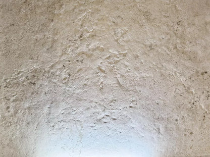 Porcelænsflise Bilatone 60x120 cm Hvid 1,44 m²