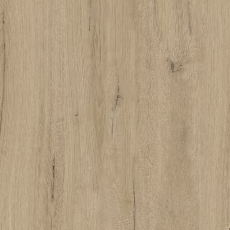 Porcelænsflise Funzi 60x60 cm 0,72 m²