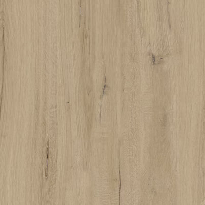 Porcelænsflise Funzi 60x60 cm 0,72 m²