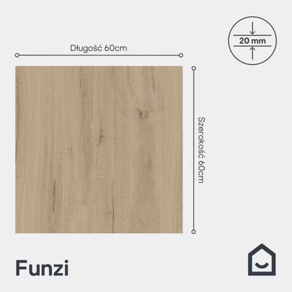 Porcelænsflise Funzi 60x60 cm 0,72 m²
