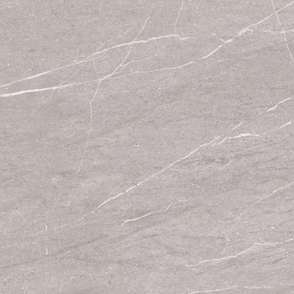 Porcelænsflise Sannam 59,8x59,8 cm 1,07 m²