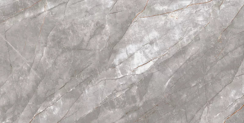 Porcelænsflise Zoe 60x120 cm Grå 1,44 m²